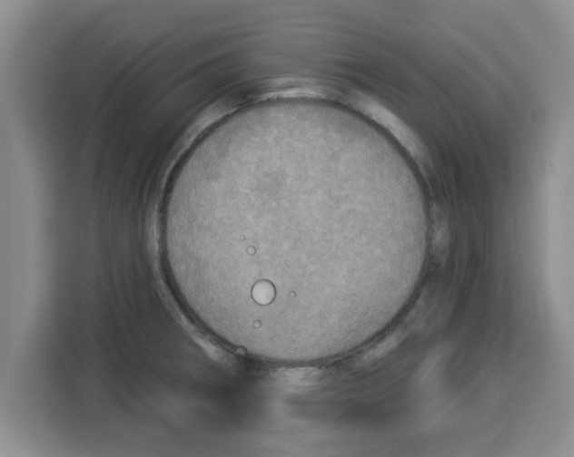 X0000113921282200910221346