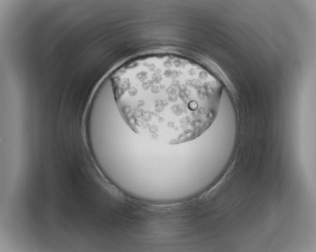 X0000113921284200910221346