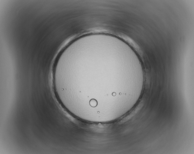 X0000113921286200910221346