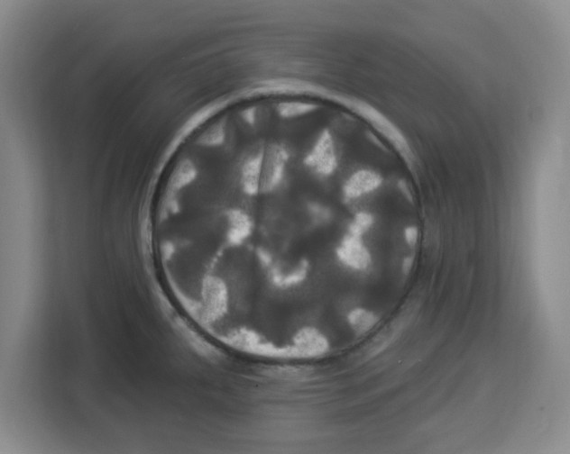 X0000113921287200910221346