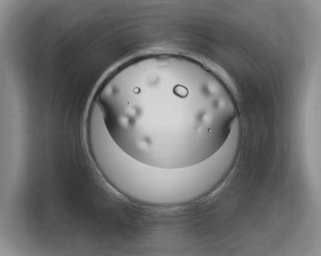 X0000113921288200910221346