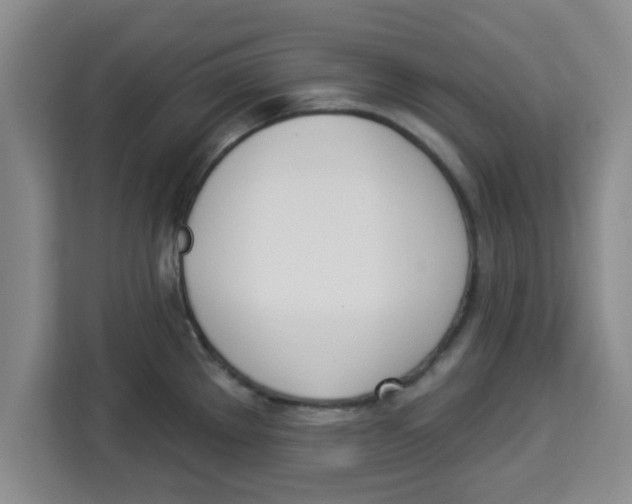 X0000113921289200910221346