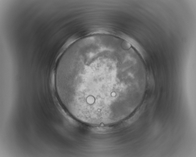 X0000113921290200910221346