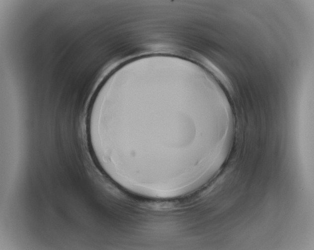 X0000113921291200910221346