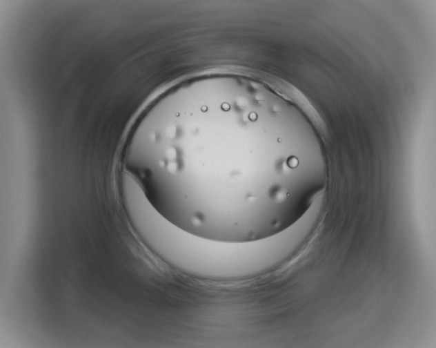 X0000113921292200910221346
