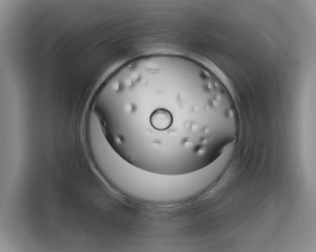 X0000113921293200910221346