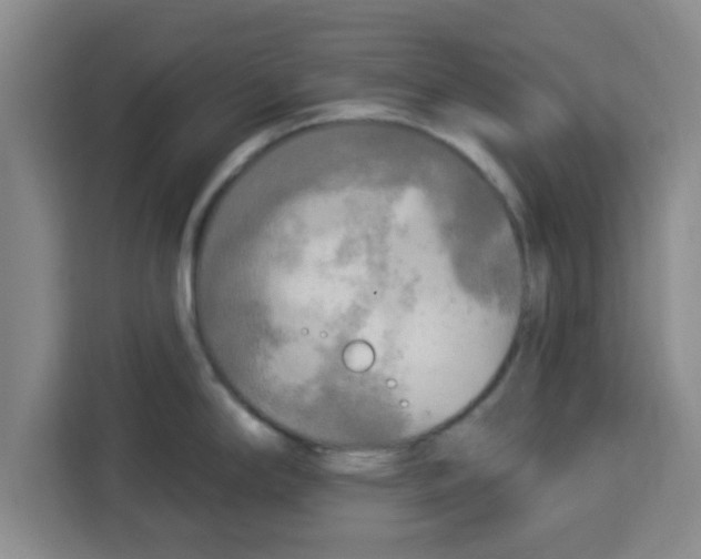 X0000113921294200910221346