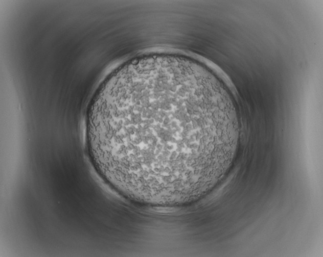 X0000113921295200910221346