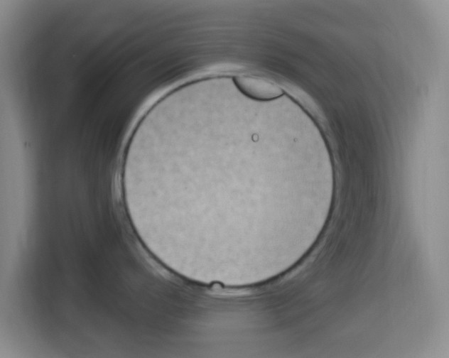 X0000113921296200910221346