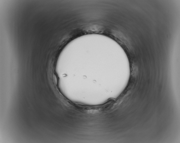 X0000113921297200910221345