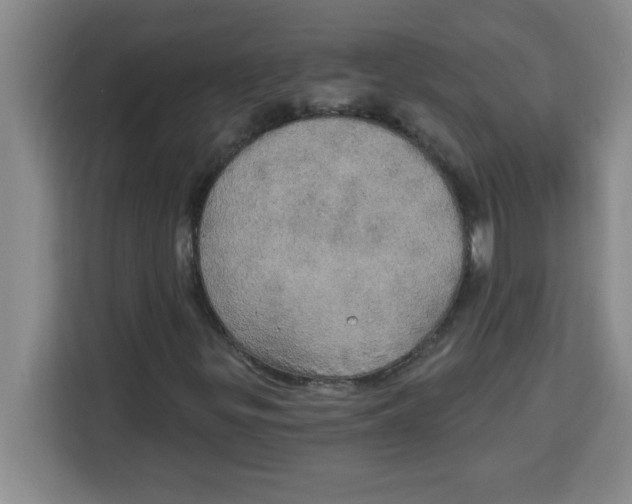 X0000113921299200910221345