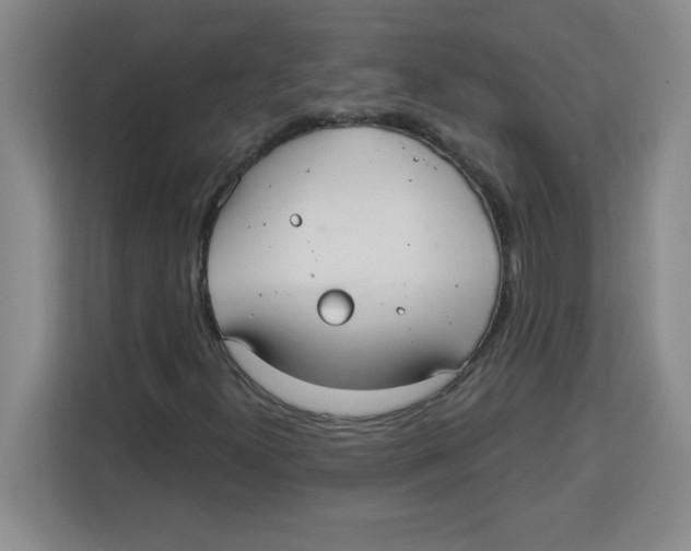 X0000113921300200910221345
