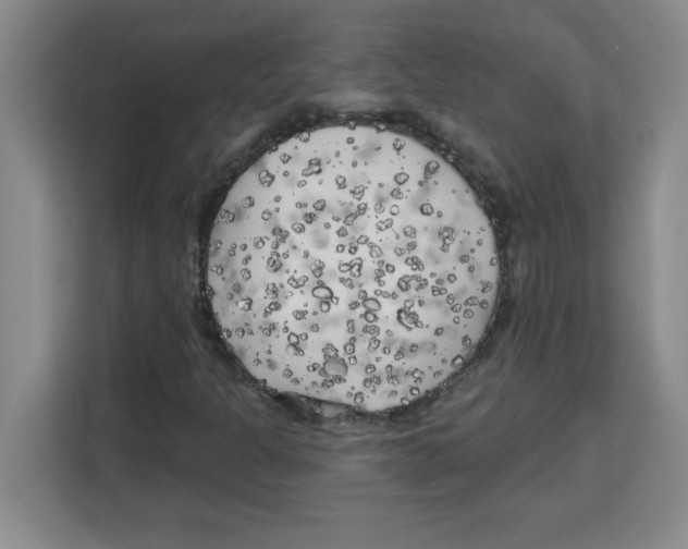 X0000113921301200910221345