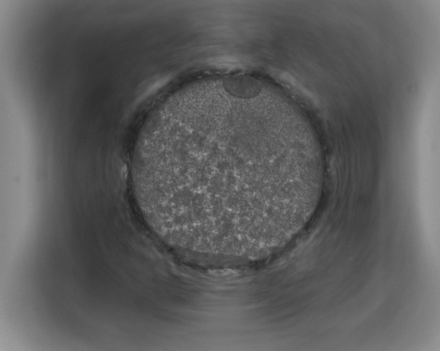 X0000113921302200910221345