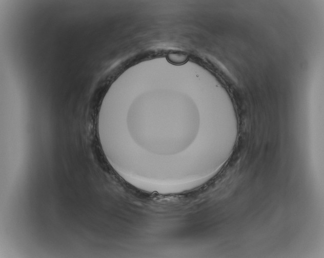X0000113921303200910221345
