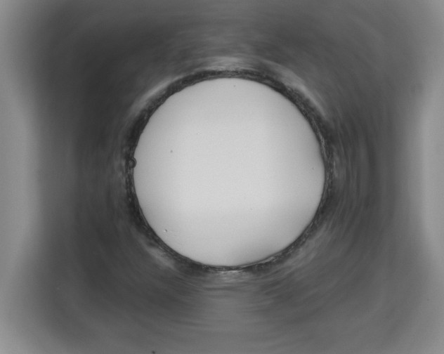 X0000113921304200910221345
