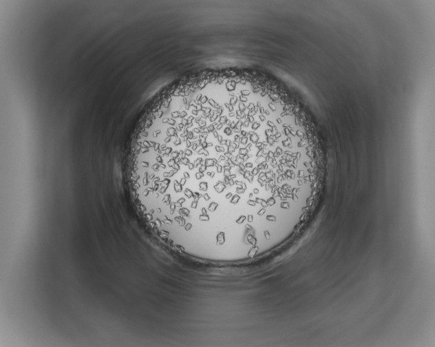 X0000113921305200910221345