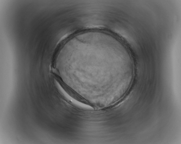 X0000113921306200910221345