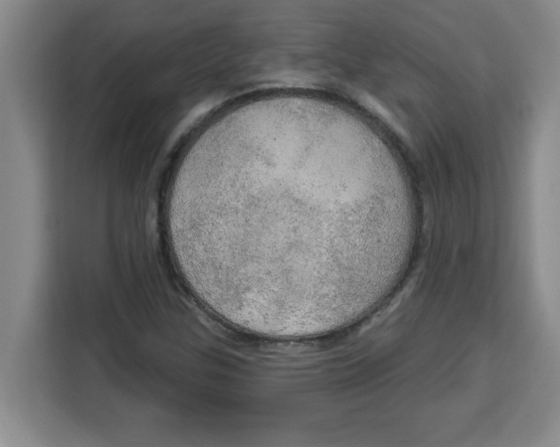 X0000113921307200910221345
