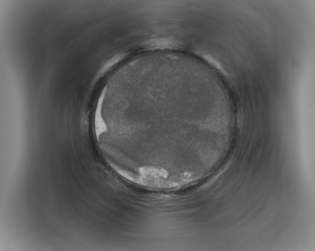 X0000113921309200910221345