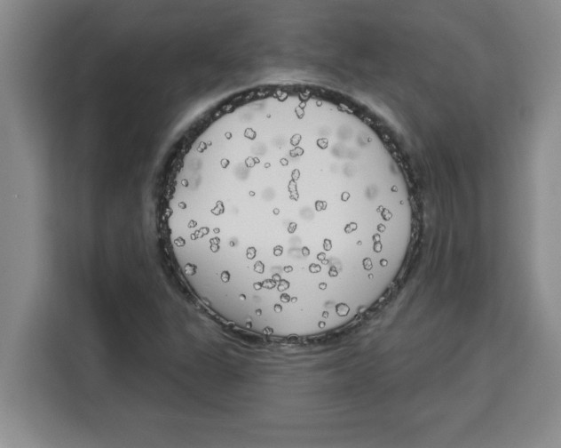 X0000113921311200910221345