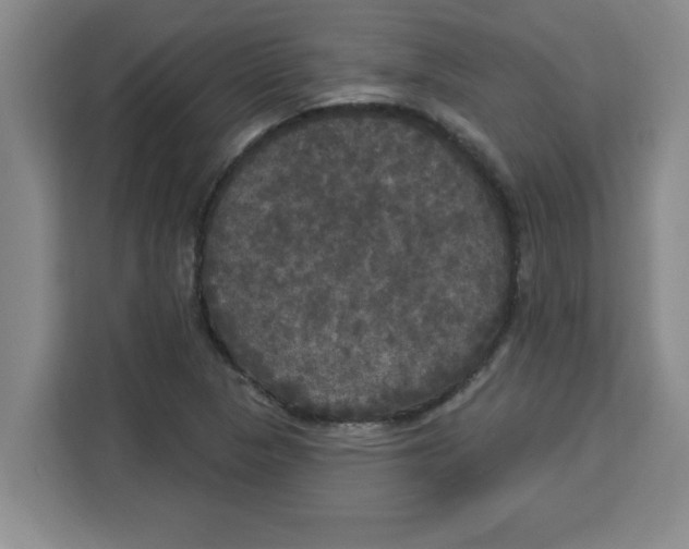 X0000113921313200910221345