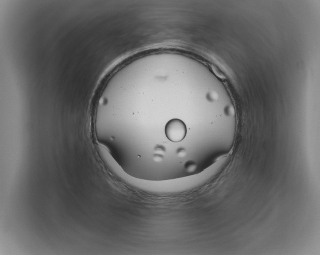X0000113921316200910221345