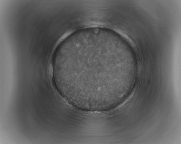 X0000113921317200910221345