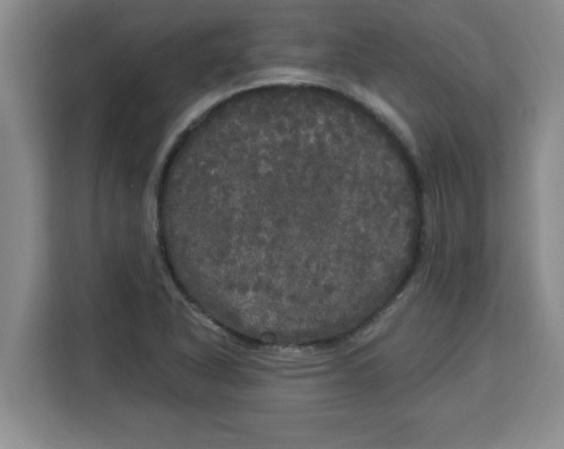 X0000113921318200910221345