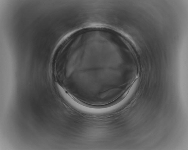 X0000113921319200910221345