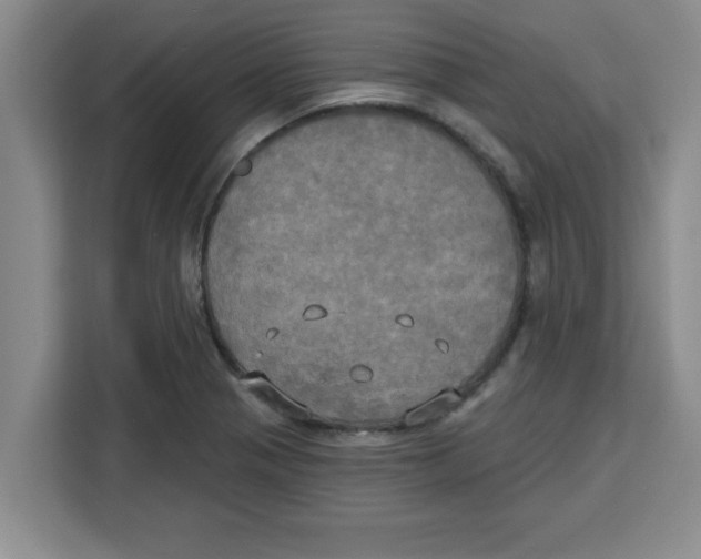 X0000113921321200910221346