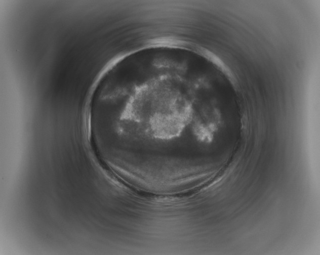 X0000113921323200910221346
