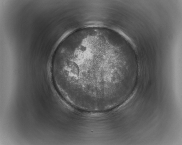 X0000113921325200910221346