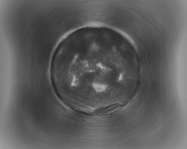 X0000113921327200910221346