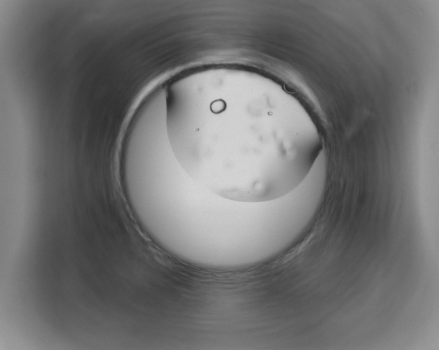 X0000113921328200910221346