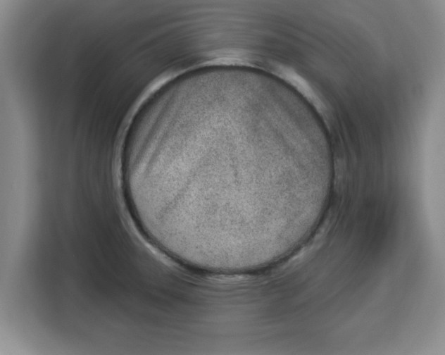 X0000113921331200910221346