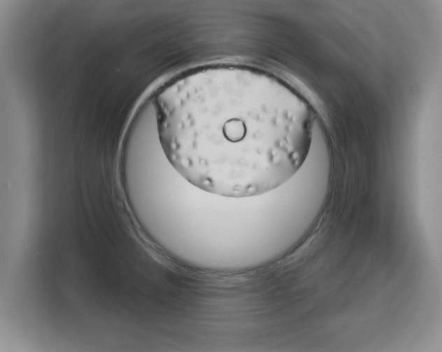 X0000113921332200910221346