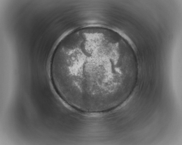 X0000113921333200910221346