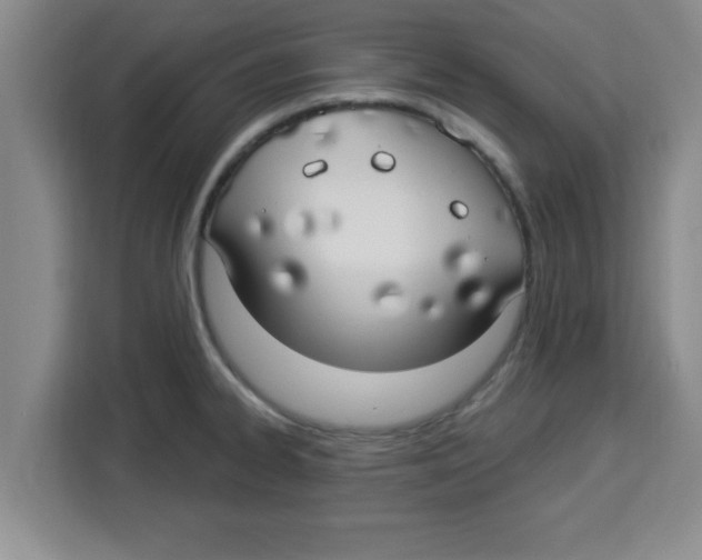 X0000113921334200910221346