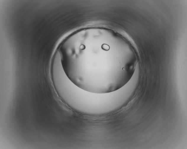 X0000113921336200910221346