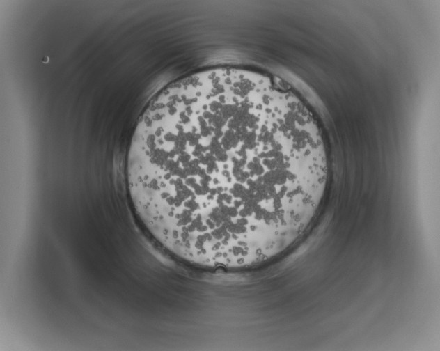 X0000113921337200910221346