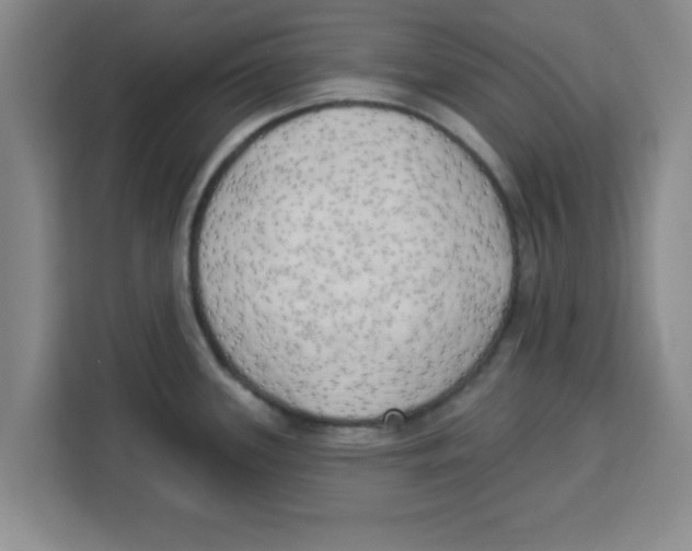 X0000113921339200910221346