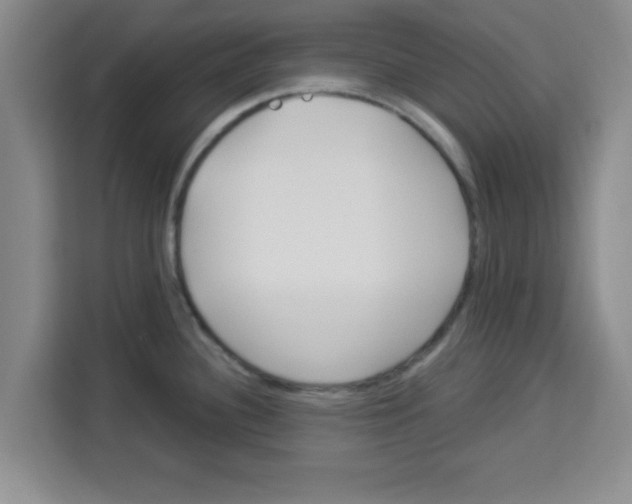 X0000113921340200910221346