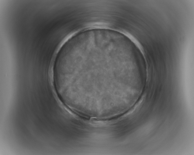 X0000113921341200910221346
