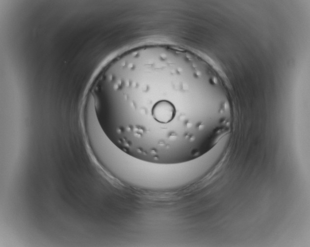 X0000113921342200910221346