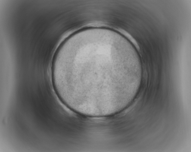 X0000113921343200910221346