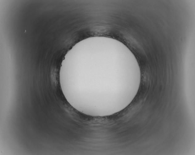X0000113921346200910221345