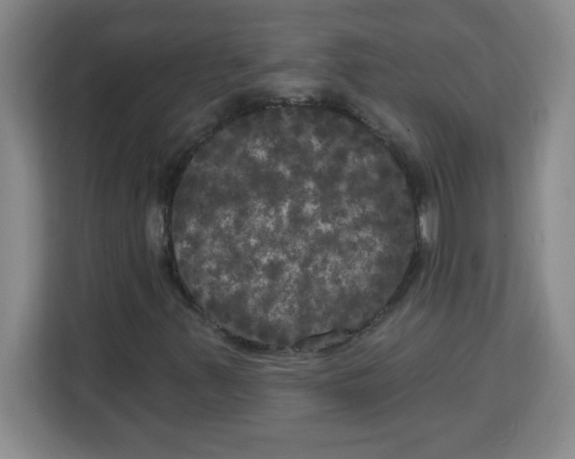X0000113921347200910221345