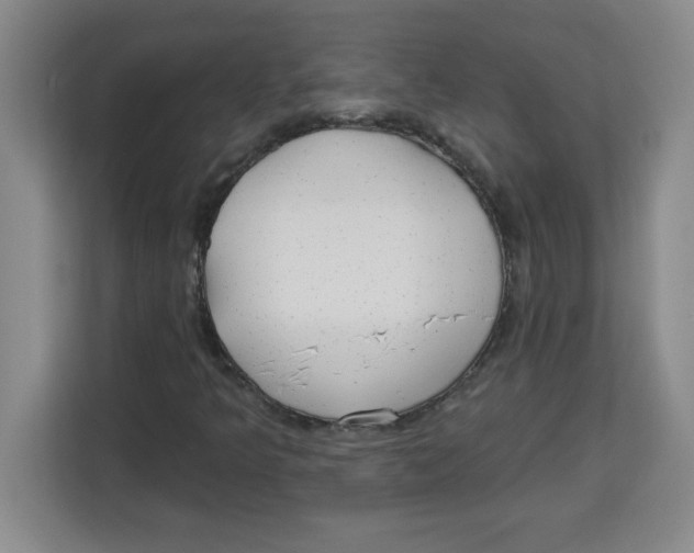 X0000113921349200910221345