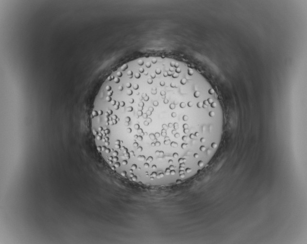 X0000113921350200910221345
